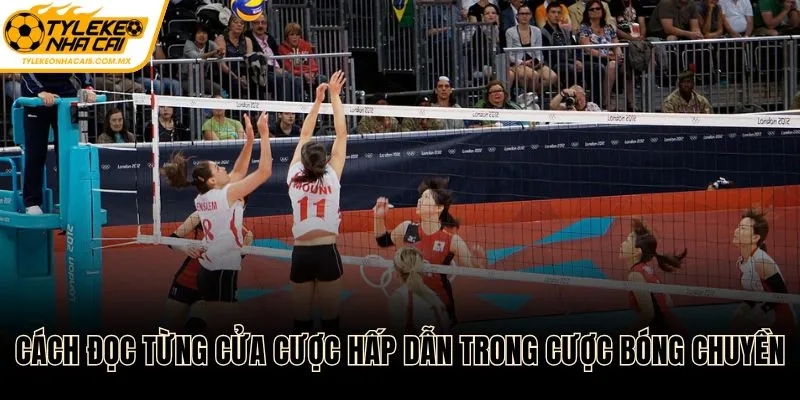 Cách đọc từng cửa cược hấp dẫn trong kèo bóng chuyền