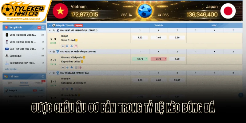 Cược châu Âu cơ bản trong tỷ lệ kèo bóng đá